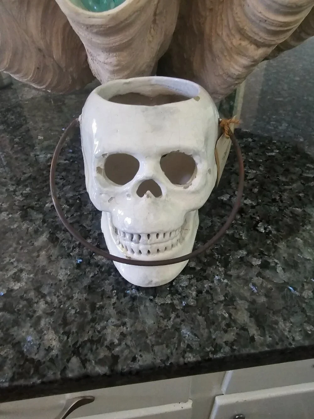 Pottery Barn Halloween Skull Lantern and Snake Vase Filler